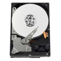 Western digital AV GreenPower 320GB (WD3200AVVS)